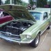 Mustang Show 017 thumbnail