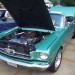 Mustang Show 019 thumbnail