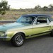 1967 Ford Mustang Eddie T thumbnail