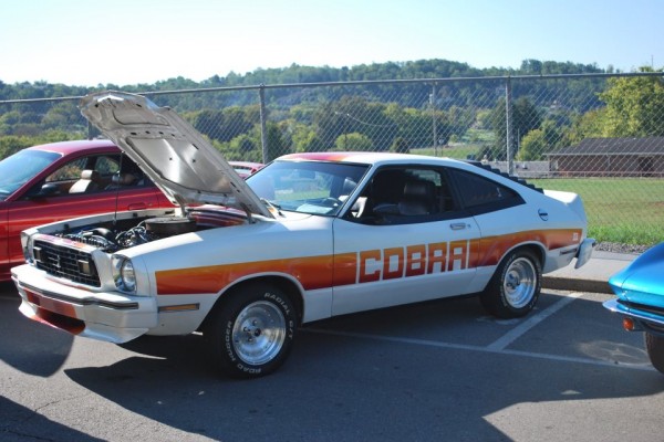 1978 Ford Mustang Cobra 2