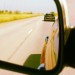 BlackBeautyRearView thumbnail