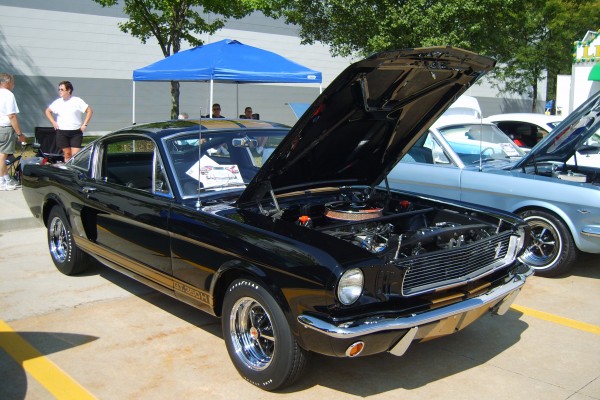 Black 1966 Shelby GT 350