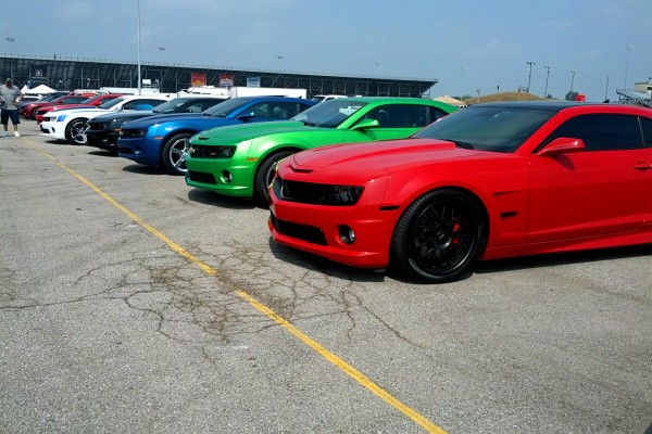 Camaro5 Fest. Row of Camaros