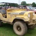 Classic yellow Jeep Renegade thumbnail