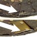 Friction Material thumbnail