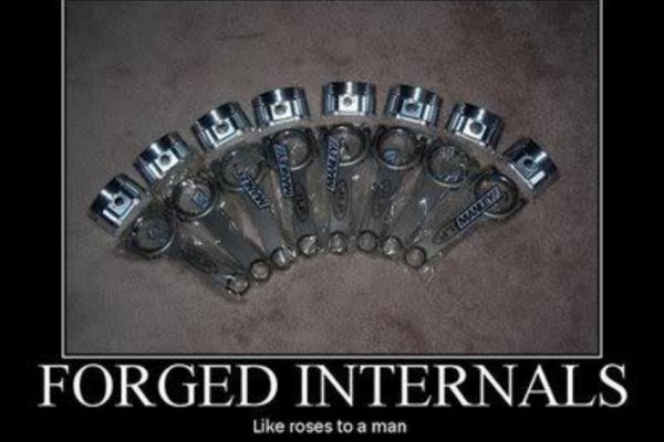 man roses
