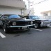 Japan_69 Camaro and 66 Nova thumbnail