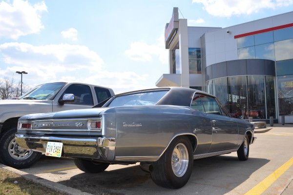 1966 Chevy Chevelle, rear quarter shot