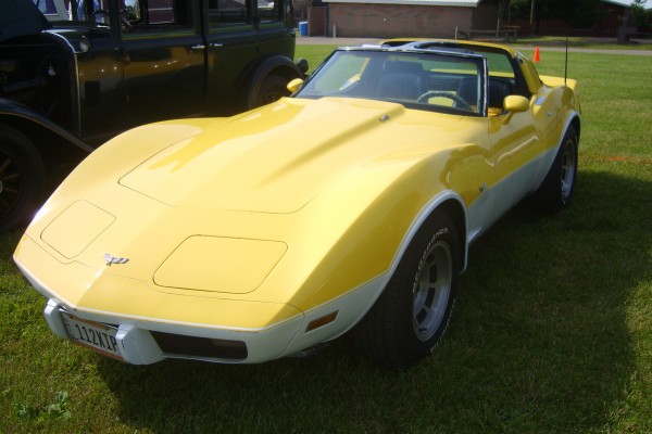c3 chevy corvette l48 with custom paint