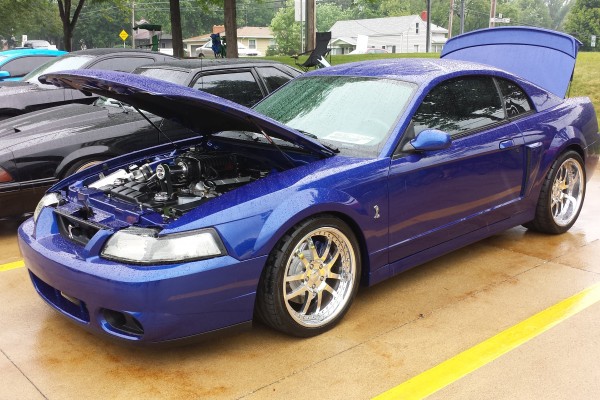 blue new edge sn95 ford mustang cobra