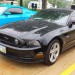 20130727_134815 thumbnail