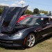 Corvettes at Carlisle, 2013 thumbnail