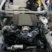 Corvettes at Carlisle, 2013 thumbnail