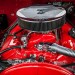 1374956_522905787797446_1783664624_n (1) thumbnail