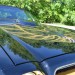 76 trans am 004 thumbnail