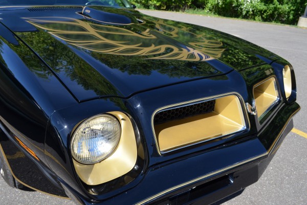 1976 pontiac trans am, front hood and grille