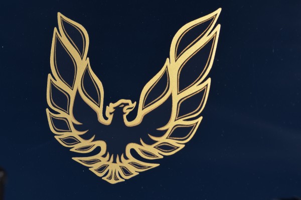 screaming chicken decal on a 1976 pontiac trans am