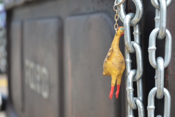 rubber chicken attached to the back of a vintage pickup truck