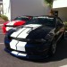 IMG_2597 thumbnail
