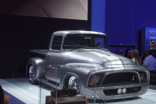 Snakebit 1956 Ford F-100 shelby muscle truck