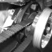 IMG_4726 thumbnail