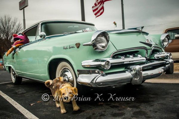 dodge royal lancer from the 1950s at a car show