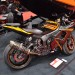 Cav_0215 thumbnail