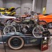 Cav_0305 thumbnail