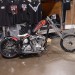 Cav_0471 thumbnail