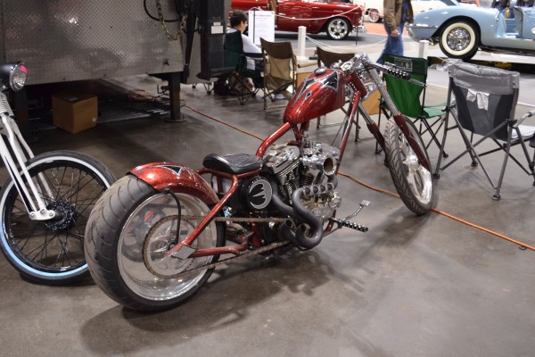 Cav_0475