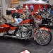 Cav_0787 thumbnail