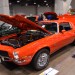 Cav_0802 thumbnail