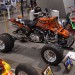 Cav_0845 thumbnail
