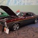 Cav_0885 thumbnail