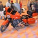 Cav_1084 thumbnail