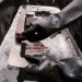 TRex1 thumbnail