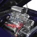 barracuda2 thumbnail