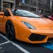 1488184_593788590709165_651198148_n thumbnail