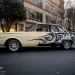 1779312_593787734042584_492885887_n thumbnail