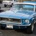 1959518_604825976272093_2028724243_n thumbnail