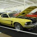 Dallas 2014 (70) thumbnail