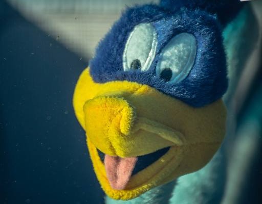roadrunner cartoon plush toy in a 1970 plymouth superbird