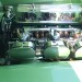 IMG_7278 thumbnail