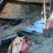 camping trailer Upgrade 07 thumbnail