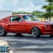 10701938_693974390690584_8058394122100858616_n[1] thumbnail