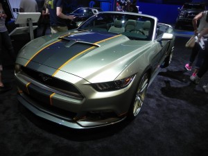 DSCN2672