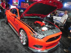 DSCN2686