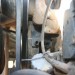 MSD 05 thumbnail