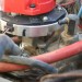 MSD 21 thumbnail
