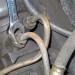 Serpentine Conversion 17 thumbnail